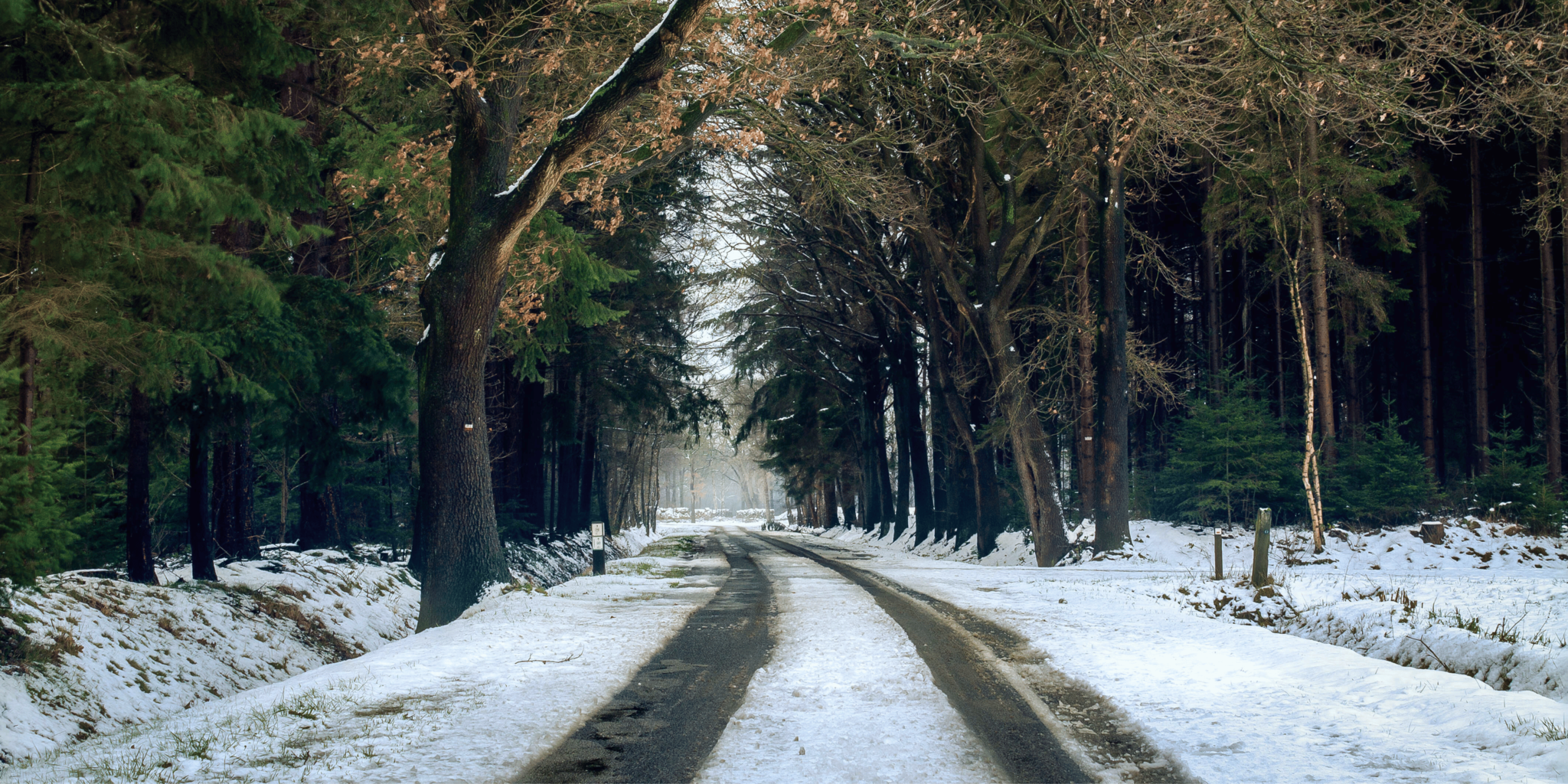 5 tips voor een comfortabele en veilige winter