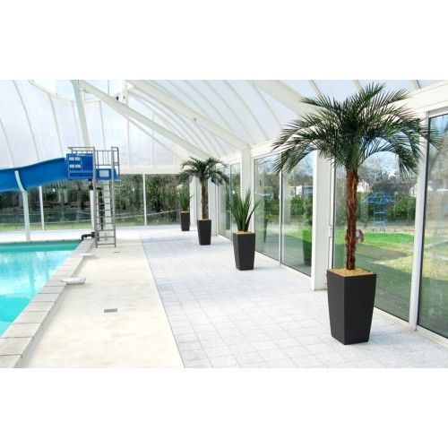 Phoenix Palm OD Deluxe 225cm
