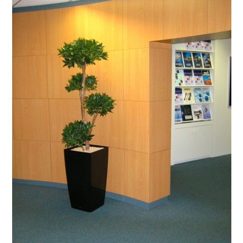Laurier Deluxe x4 180cm