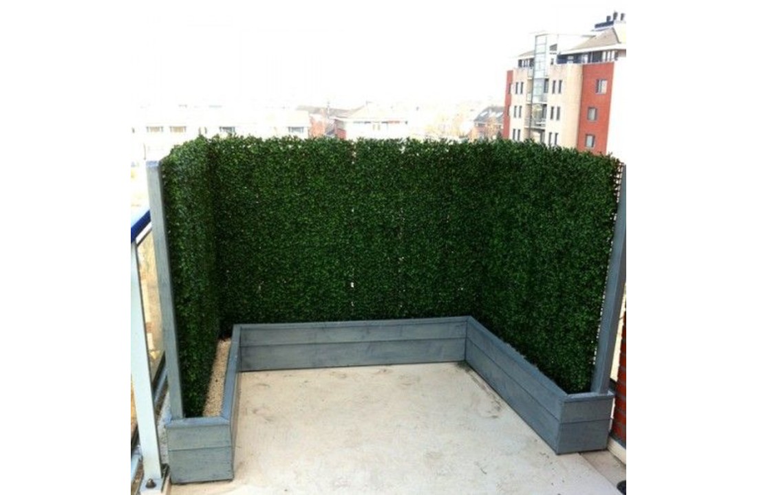 Buxus matje x300 UV