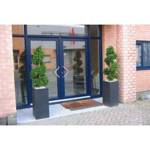 Buksus Deluxe Spiraal 140cm