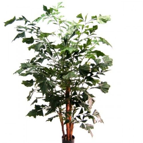 Fishtail Palm XL Deluxe 190cm