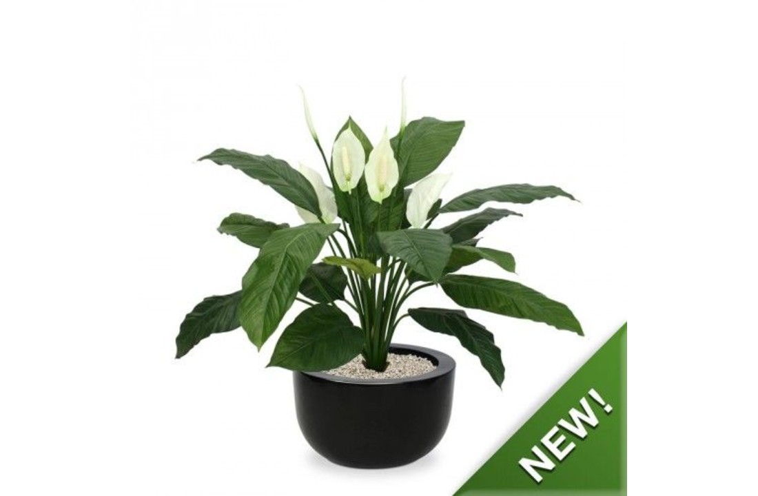 Plantenbak Martinique 45x27cm