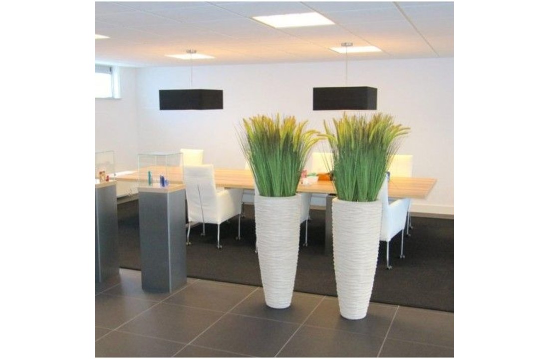 Pennisetum Pluimgras Deluxe boeket 85cm