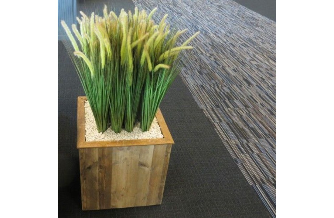 Pennisetum Pluimgras Deluxe boeket 85cm