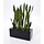 Sanseveria kunstplant 80 cm steker