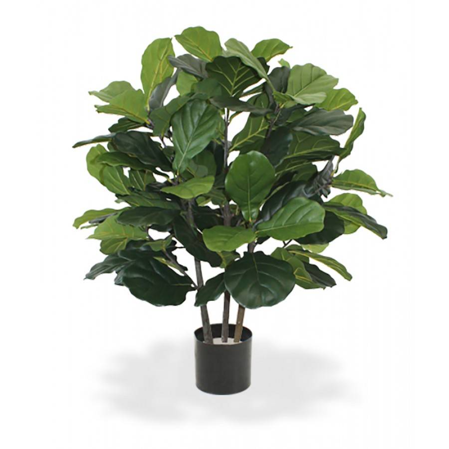 Lyrata Deluxe 95cm