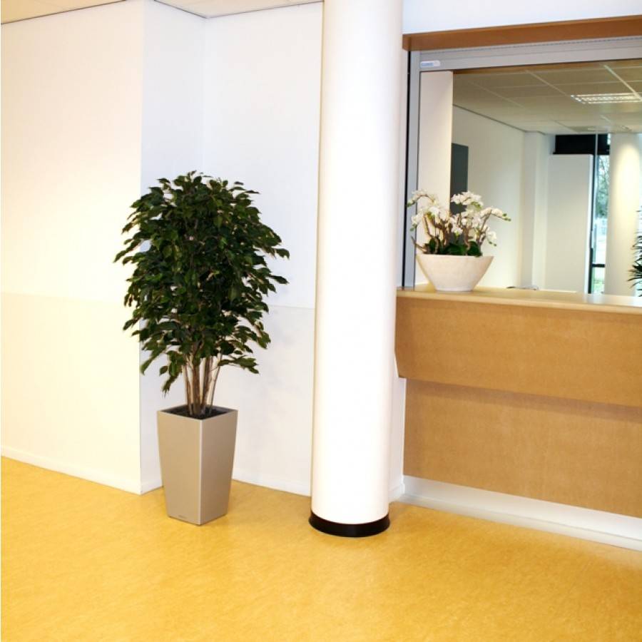 Ficus Exotica Deluxe kunstplant 150 cm groen FR