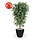 Ficus Exotica Deluxe kunstplant 180 cm groen FR