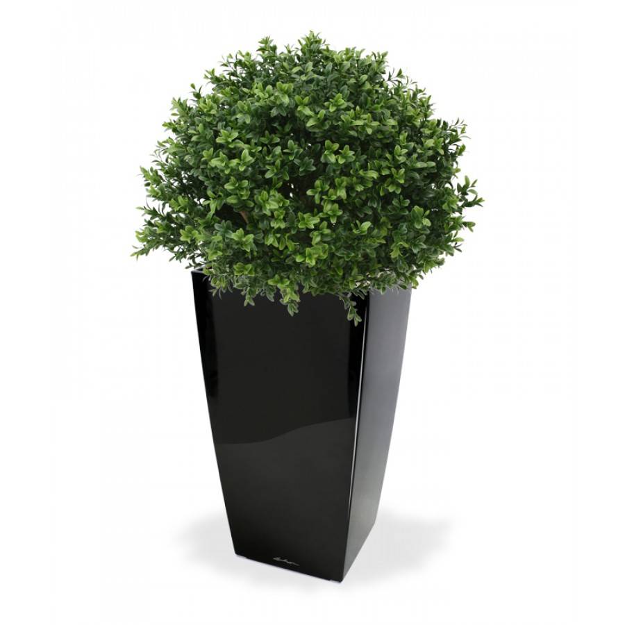 Buksus Bol Deluxe 40 cm