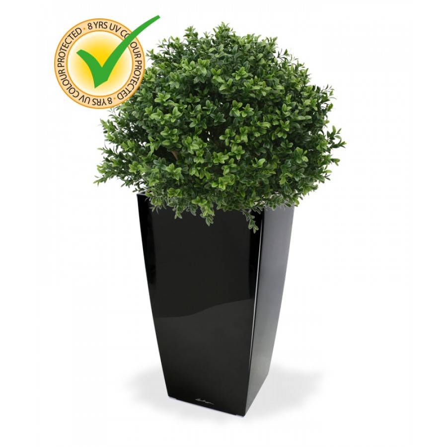 Buksus Bol Deluxe 40cm UV