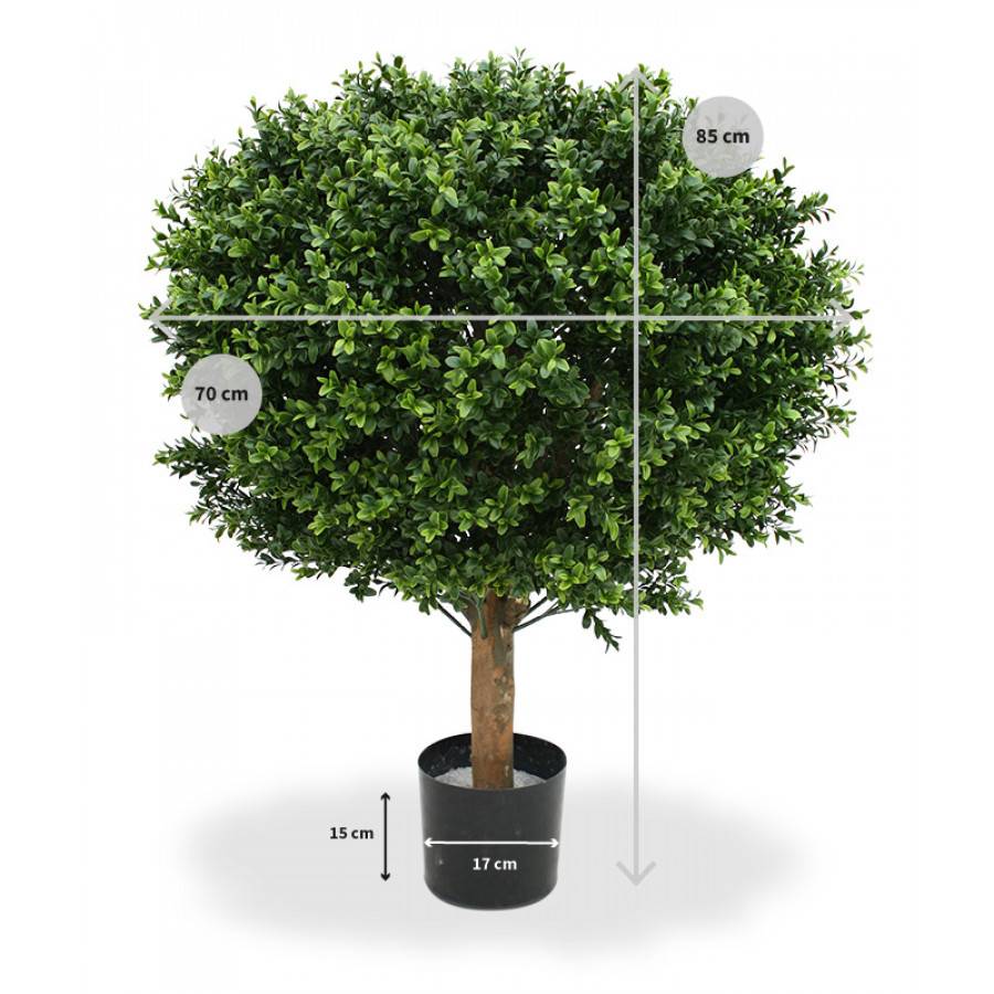 Buksus Bol Deluxe 70 cm UV