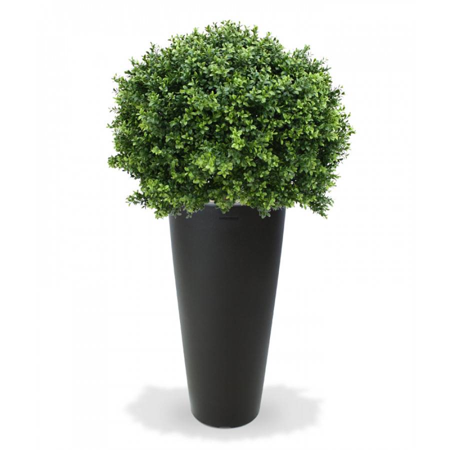 Buxus Bol Deluxe 80cm