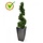 Buxus Spiraalboom de luxe 100 cm UV