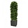 Buxus Kolom Deluxe 125 cm