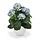 Hortensia Deluxe 45 cm blauw