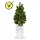 Pinus Deluxe XL kunstboom 160 cm UV