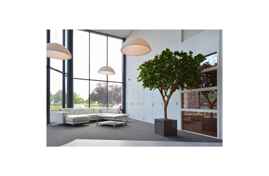 Maple De luxe 240 cm