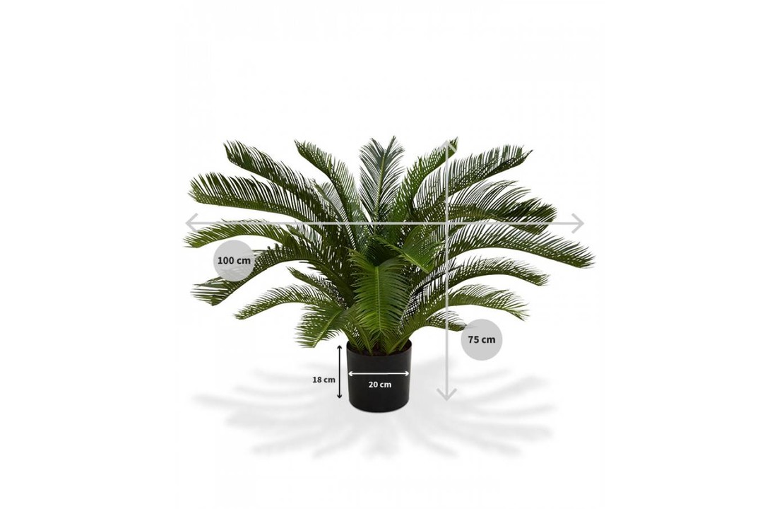 Cycas Palm M 80cm Deluxe