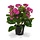 Kalanchoe kunstplant 30 cm paars in pot