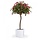 Bougainvillae Bal XL 275 cm Cerise