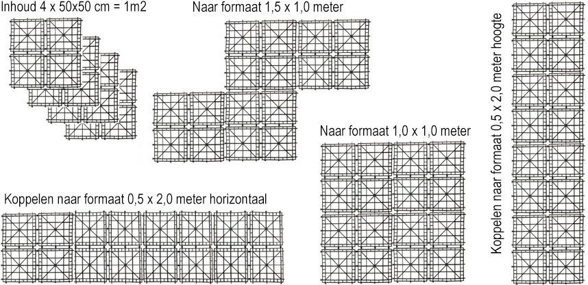 Conifeer Tuja Smaragd Donker 50 x 50 cm