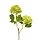 Kunst Viburnum steelbloem 55 cm groen