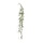 Rhipsalis Trigona hangplant 100 cm