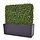 Buxus Heg 80 x 25 x 56 cm UV