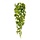 Pothos hangplant 90 cm bont