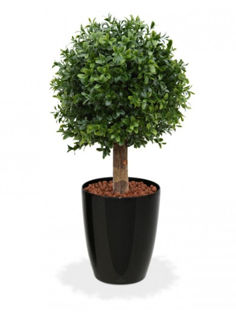 Buxus Bol Deluxe 25 cm