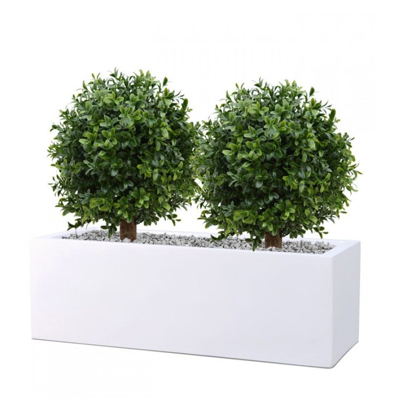 Buxus Bol Deluxe 25 cm