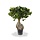 Panda kunst bonsai 55 cm