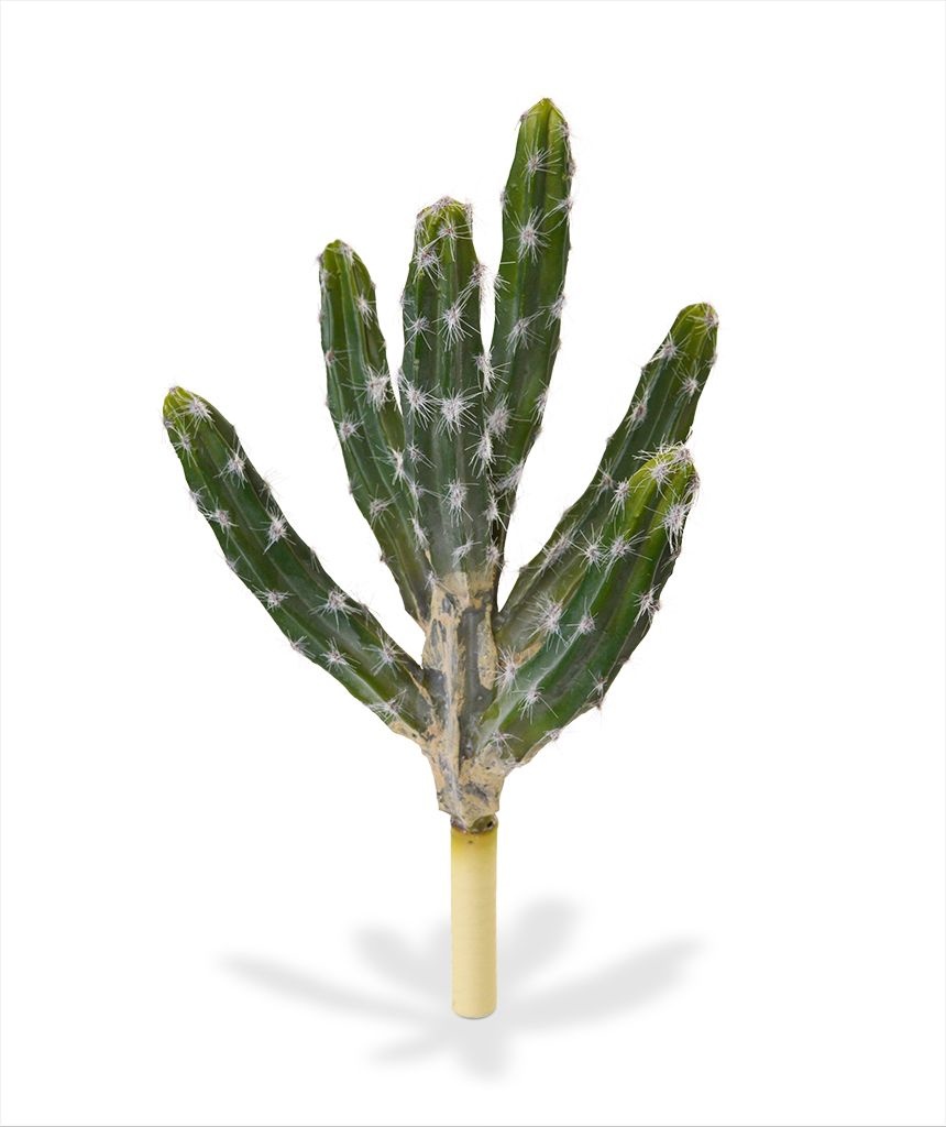 cactus boeket 35 cm - Kunstplanten.nl