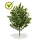 Buxus kunstboeket 30 cm UV