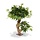 Acer kunst Bonsaiboom 60 cm groen