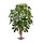 Schefflera kunstplant 65 cm op voet