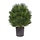 Pinus bol kunstplant UV 60 cm