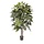 Schefflera Amate kunstboom 150 cm