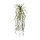 Rhipsalis Micrantha kunsthanger 55 cm