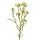 Waxflower kunsttak 65 cm groen