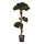 Pinus Bonsai kunstboom UV 110 cm