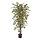 Ficus Hawai kunstboom 150 cm