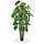 Alocasia Calidora Giant kunstboom deluxe 210 cm