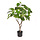 Ficus Umbellata kunstplant 90 cm