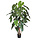 Philodendron deluxe kunstboom 170 cm