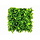 Vegetatie buxus blad kunsthaag 50 x 50 cm