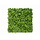 Vegetatie Sedum flower plantenwand 100 x 100 cm