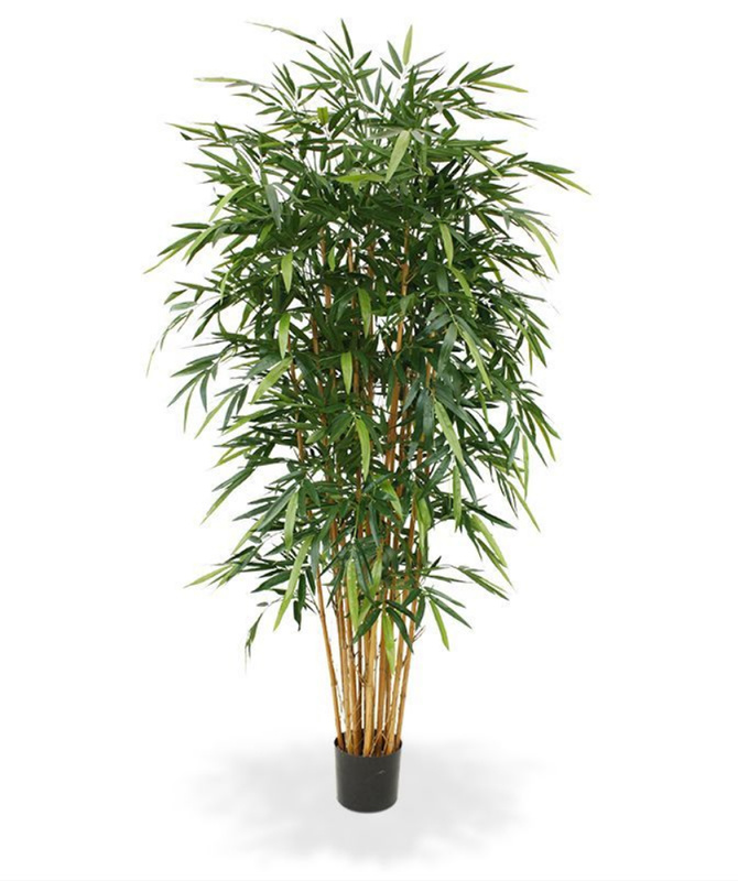 Bamboe Deluxe 210cm