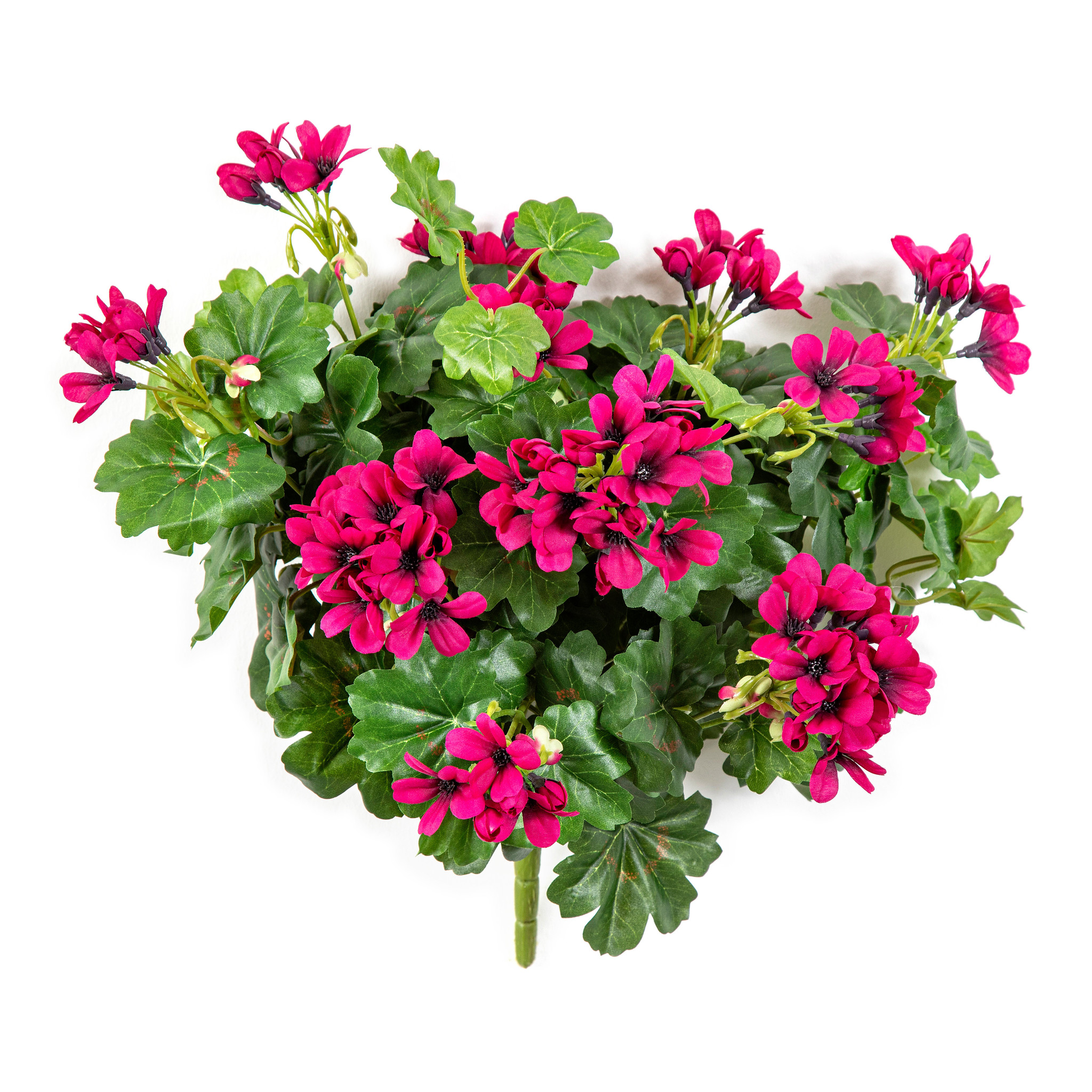 Geranium Cascade Bush Violet 35 cm